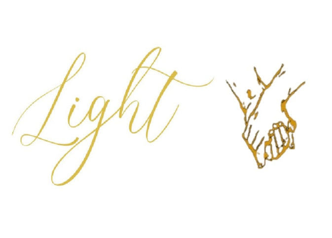 LIGHT COLLECTION SHOP – Light Collection Shop LLC